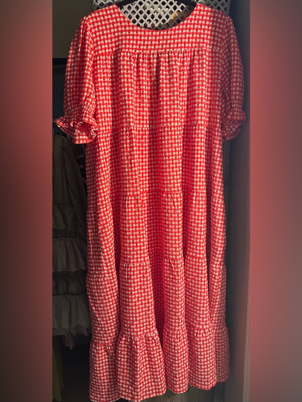 Jnna Women’s Red Gingham Maxi Dress